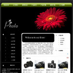 数码摄影器材公司网站模板